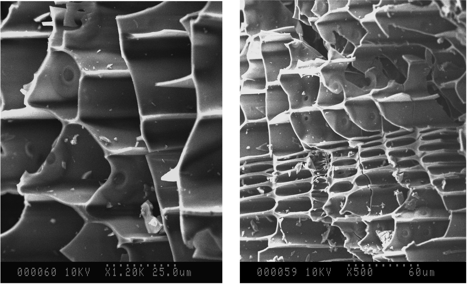 Engineered Pore Network